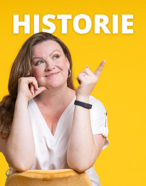 Historie der DTS Systeme GmbH