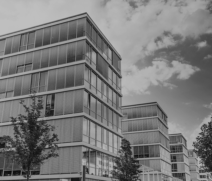 Kundenreferenz DTS Stadt Neustadt